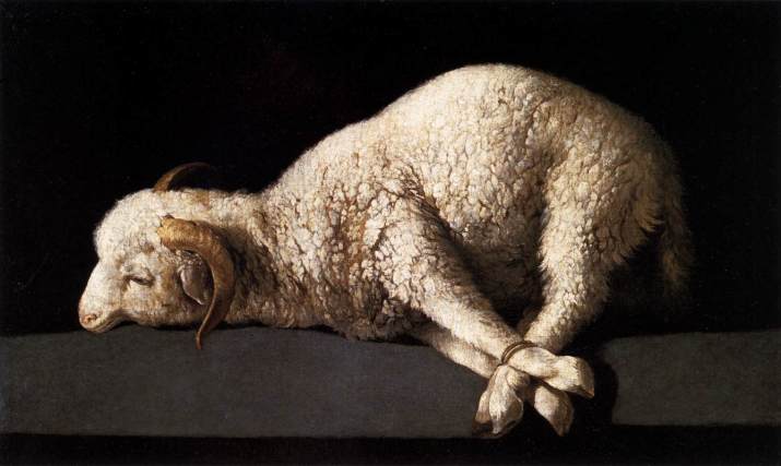 zurbaran-agnus-dei-lamb-of-god-madrid-1339x800