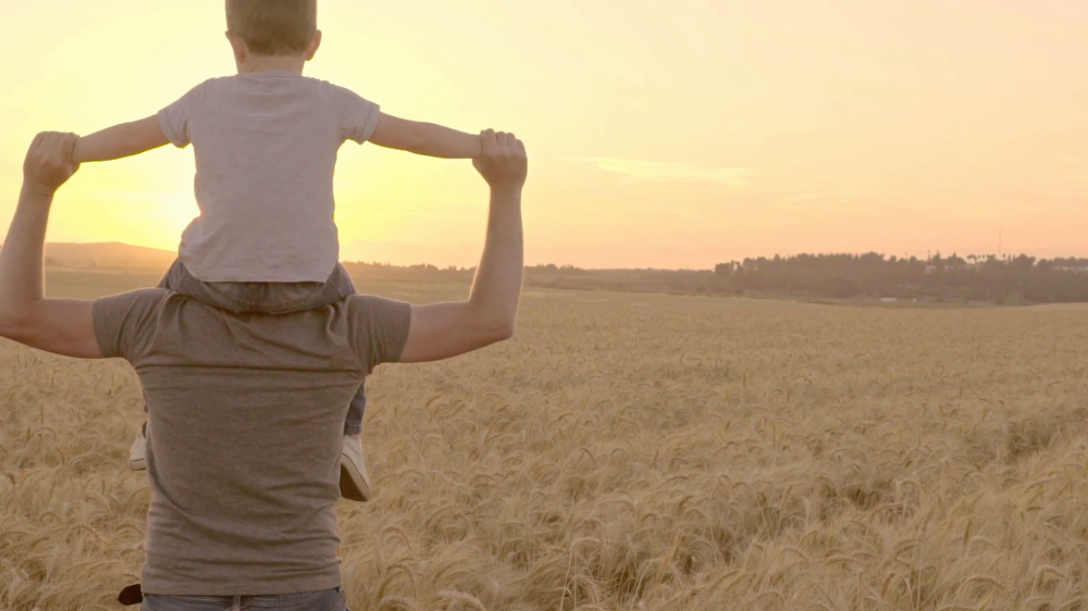 a-father-carries-his-son-on-his-shoulders-walking-through-a-wheatfield-during-a-sunset-slow-motion_rkwuimsh__F0000